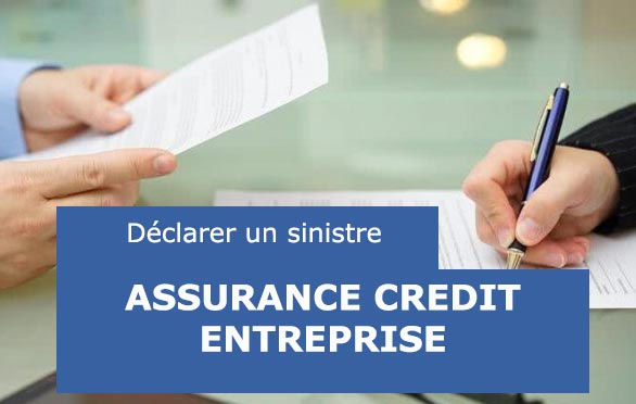 sinistre assurance crédit